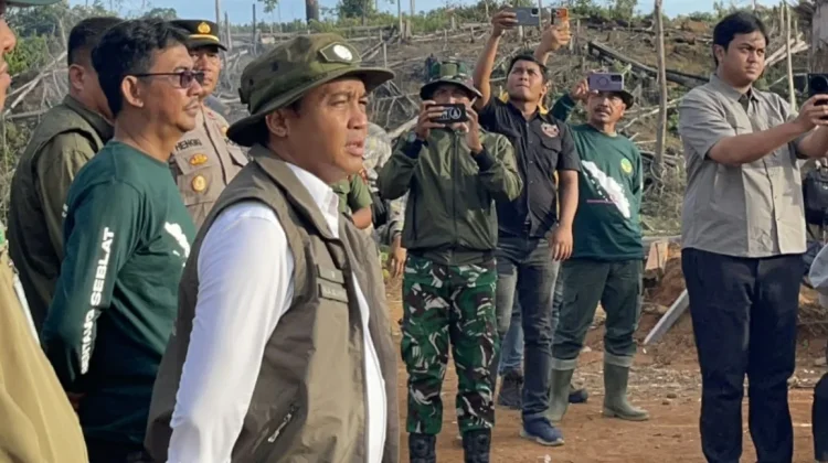 Pasca Operasi Merah Putih, Lingkar Inisiatif Ungkap Hutan Seblat Masih Dirambah