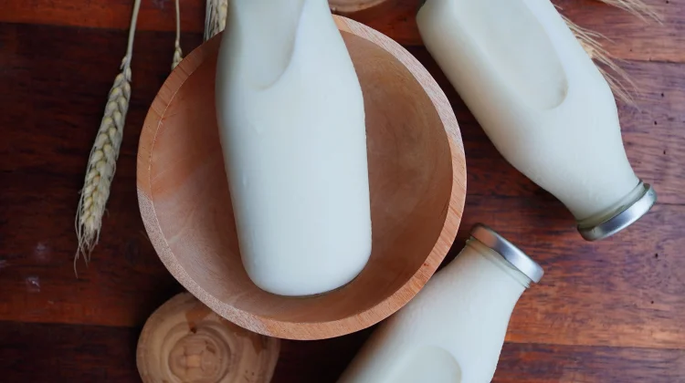 Susu Fermentasi Kefir, Bagaimana Cara Membuatnya?