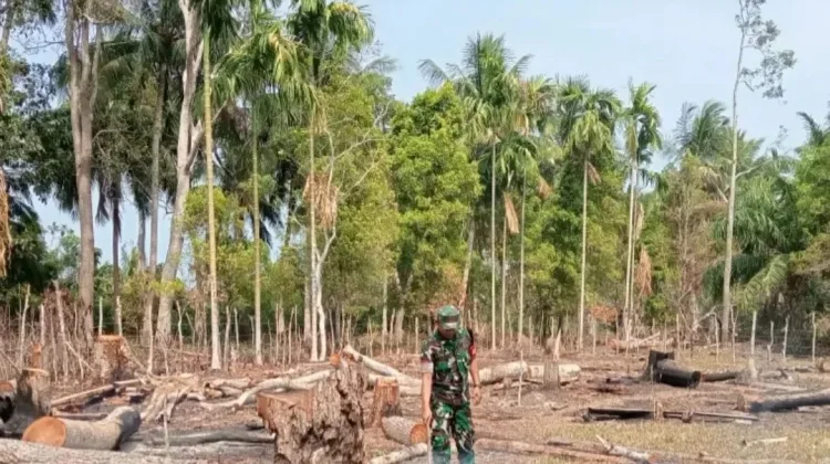 Babinsa Lakukan Patroli Cegah Karhutla di Wilayah Binaan