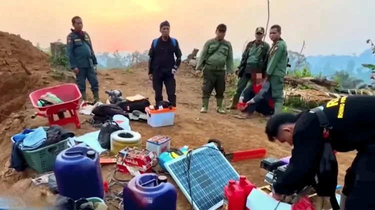 Tim Gabungan Berhasil Amankan 12 Terduga Pelaku Perambahan Hutan