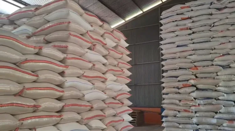 Stok Beras Bulog Akan Bertambah, Kebutuhan Masyarakat Dipastikan Aman