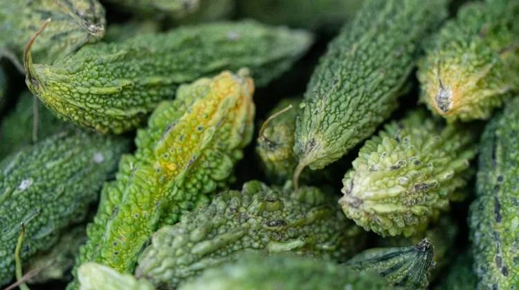 Tumis Sayur Pare, Menu Sederhana dengan Rasa Khas