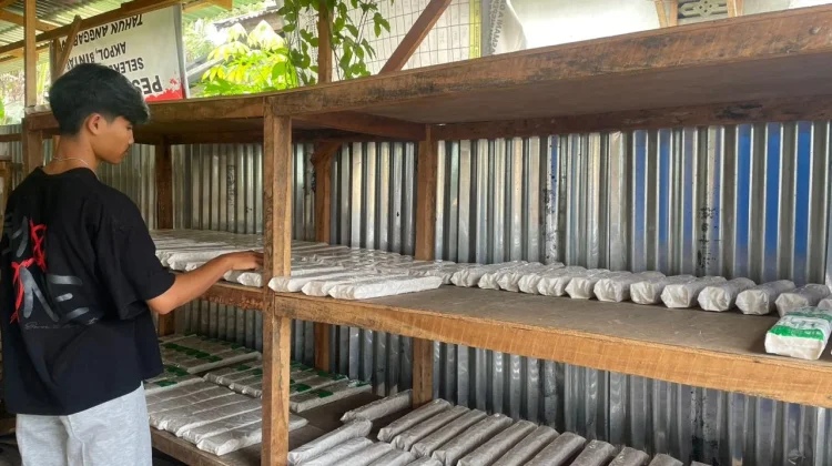 Usaha Tempe Rumahan Bertahan di tengah Kebutuhan Pasar