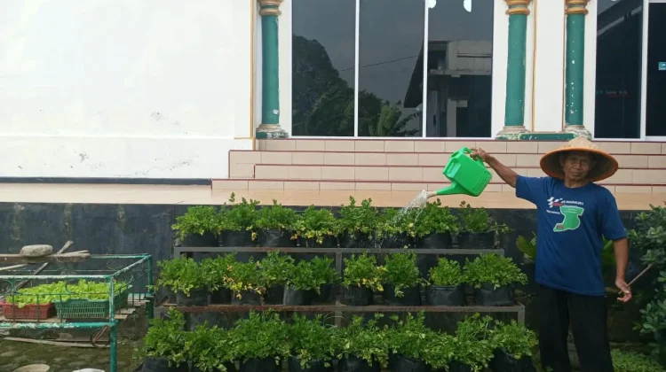 Marbot Masjid Jami’ Al Huda Panorama Sulap Lahan Kosong Jadi Kebun Produktif