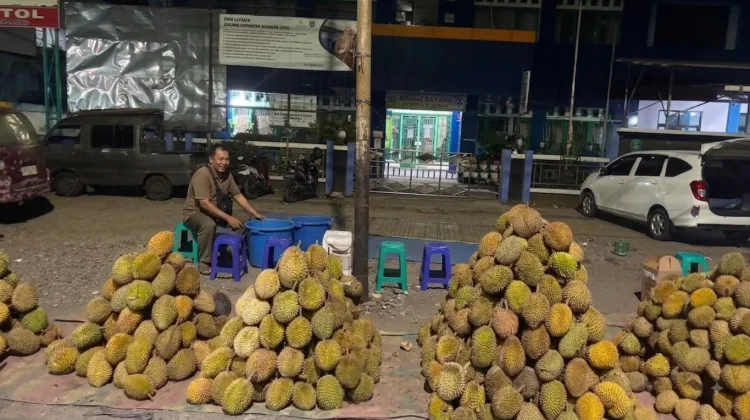 Musim Durian Jadi Berkah, Penjualan Bisa Capai Jutaan Rupiah per Malam