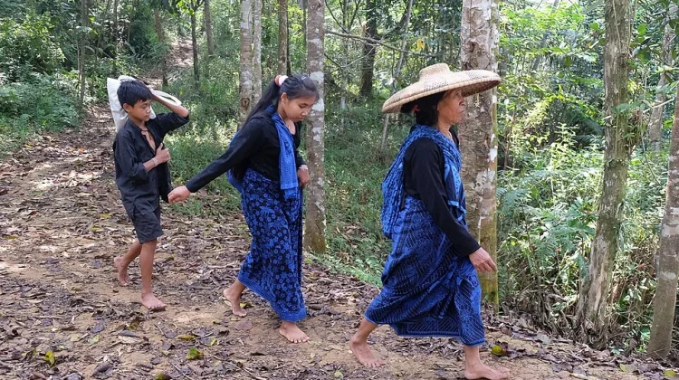 Wisata Apa Saja di Indonesia yang Dilarang? Kenali Aturannya