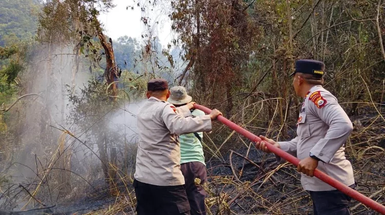 Karhutla di Rimbo Pengadang Berhasil Dipadamkan, Warga Diimbau Waspada