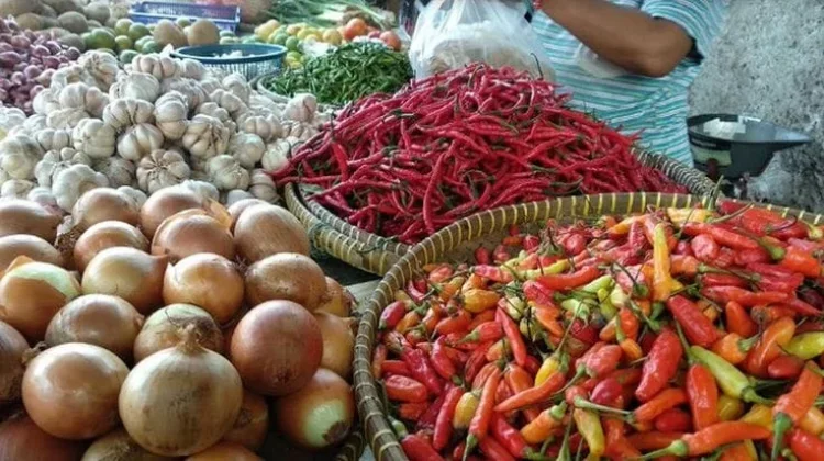 Musim Kemarau, Harga Cabai di Pasar Panorama Bengkulu Merangkak Naik