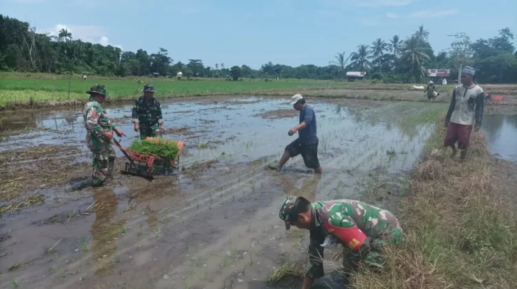 Lahan Program Cetak Sawah Akan Ditetapkan Menjadi LP2B