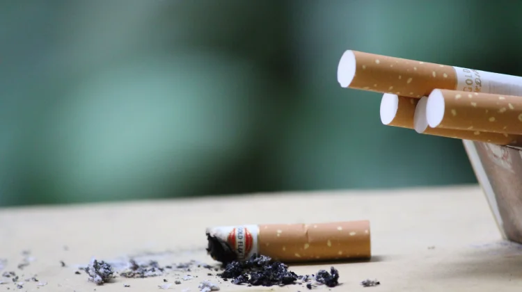 Selain Asap Rokok, Asap dari Mana Saja yang Berbahaya untuk Tubuh?