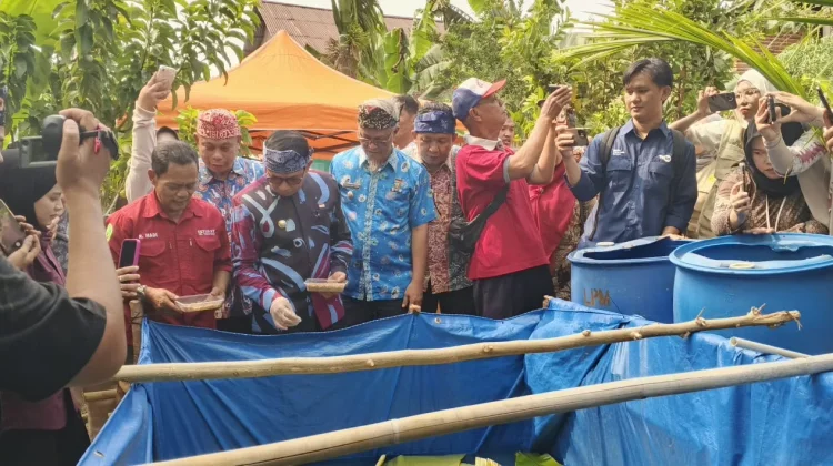 Pemkot Bengkulu Upayakan Dana Kelurahan untuk Program Maggot di Setiap Kelurahan