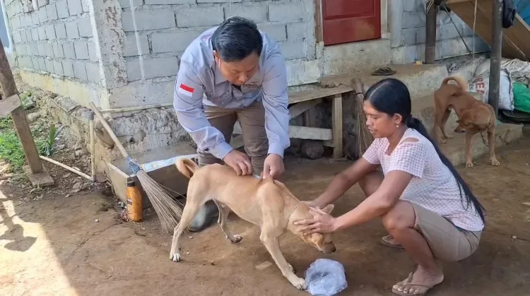 Stok Vaksin Rabies di Bengkulu Utara Mulai Berkurang