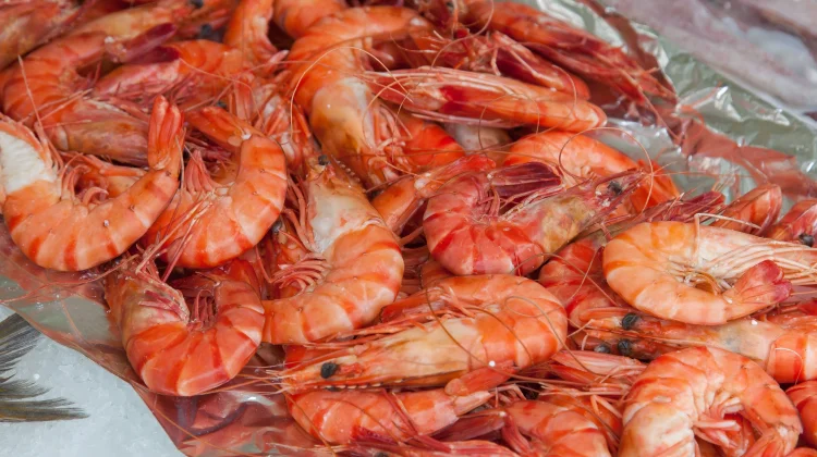Benarkah Garis Hitam pada Udang Itu Kotoran?