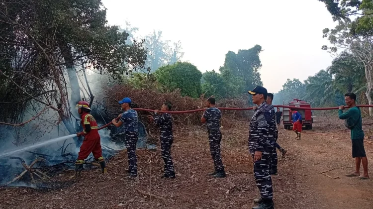 Gerak Cepat, Lanal Bengkulu Berhasil Padamkan Kebakaran Lahan Muara Dua