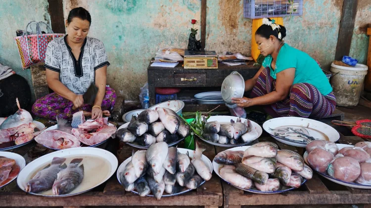 Cara Mudah Membersihkan Bau Amis di Tangan setelah Mengolah Ikan
