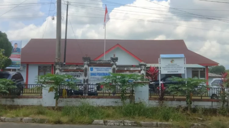 Penjualan Bibit Sawit Berkualitas Diprediksikan Mampu Tingkatkan PAD