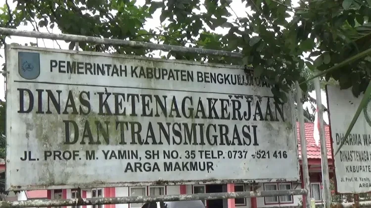 13 Pekerja Migran Bengkulu Utara Dideportasi Dari Negara Penempatan