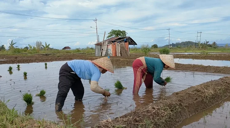 18 Kelompok Tani Bengkulu Utara Ajukan Mesin Pompa Air