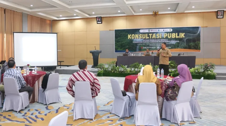 Ancaman di Bukit Sanggul: Ketika Lereng 45 Derajat jadi Hutan Produksi