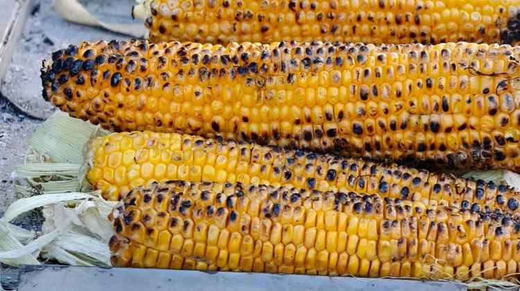 Cara Mengolah Jagung Bakar yang Enak