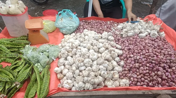 Harga Bawang Merah di Pasar Panorama Bengkulu Stabil, Kisaran Rp40 Ribu