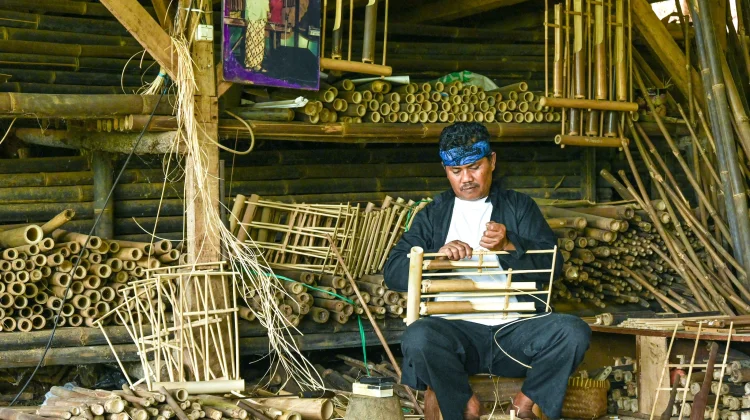Sejuta Manfaat Bambu, Tanaman Serbaguna yang Bernilai Ekonomi