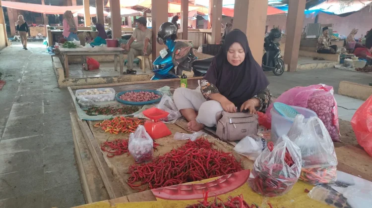 Harga Cabai Merah di Kaur Mulai Turun