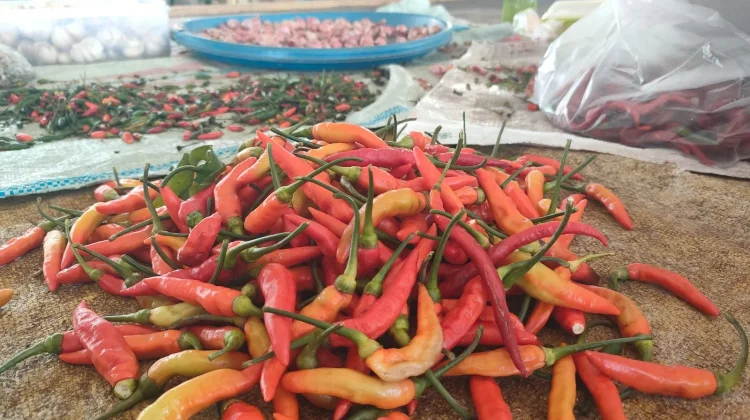 Harga Cabai Rawit Merah Meroket Tertinggi Capai Rp95.000/Kg