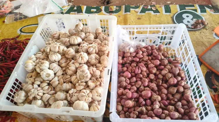 Harga Bawang Merah dan Putih Masih Stabil