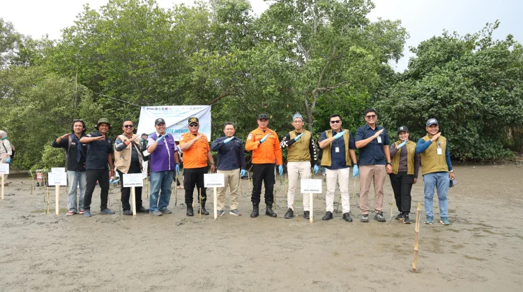 Bandara Fatmawati Soekarno Tanam Mangrove di Jenggalu, Perkuat Konservasi Pesisi