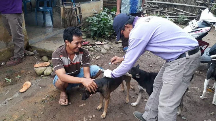 Dinkes Kaur Sebut Tanjung Kemuning Jadi Kecamatan dengan Kasus GHPR Tertinggi