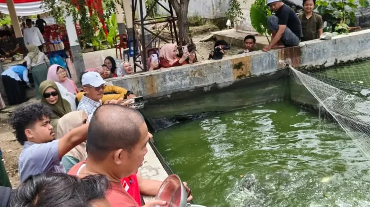 Panen Perdana Lele, Pemkot Bengkulu Targetkan Produksi Lima Ton