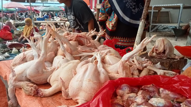 Menjelang Puasa Harga Daging Ayam Naik