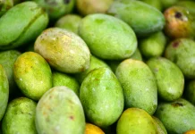 Cara Memilih Mangga yang Manis dan Enak