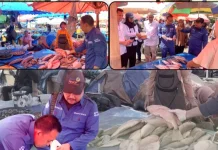 Waspada Keracunan, Badan Mutu KKP-Bengkulu Uji Ciguatoxin Ikan