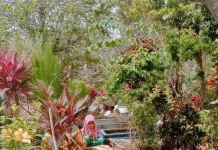 Tradisi Ziarah Kubur Jelang dan Saat Ramadhan