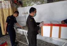 7.300 Ekor Lintah Bengkulu Diekspor ke Uzbekistan