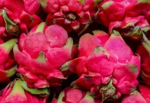 Manfaat Buah Naga untuk Kesehatan Tubuh