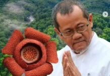 Temuan Bunga Rafflesia Harjati di Kalimantan Timur. KPPL: Spesies Baru