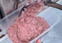 Bubur Beras Merah, Alternatif Sehat untuk Gaya Hidup Modern