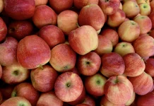 Fakta di Balik An Apple a Day