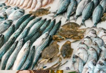 Lima Ikan Tinggi Protein Favorit Keluarga