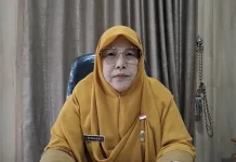 Bengkulu Targetkan Replanting Sawit 3.500 Hektare