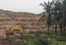 Calon Lahan Tanaman Sela Padi Gogo Akan Dikaji