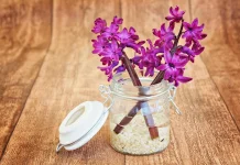 Pengharum Rumah Alami, Solusi Aman dan Hemat untuk Hunian Lebih Segar