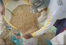 Pemerintah Minta Petani Perhatikan Mutu Beras dan Gabah