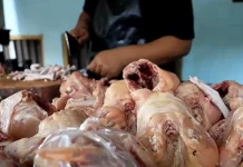 Cara Mengetahui Daging Ayam Tiren agar Tidak Tertipu saat Membeli