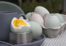 Mengolah Telur Bebek Asin Jadi Hidangan Lezat dan Variatif