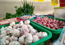 Harga Bawang Merah Rp. 45.000,-/kg