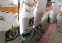 Bulog Pastikan Stok Beras Aman untuk Bantuangan Pangan